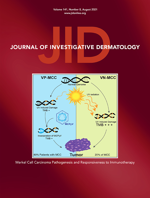 Investigative Dermatology Journal