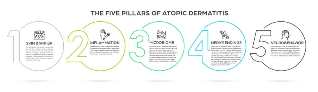 five pillars of Atopic Dermatitis